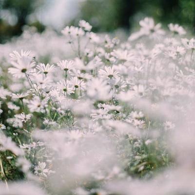 万博娱乐登陆截图