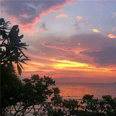 万博娱乐登陆截图